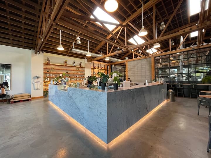 Edmonton cafés on Brew Routes